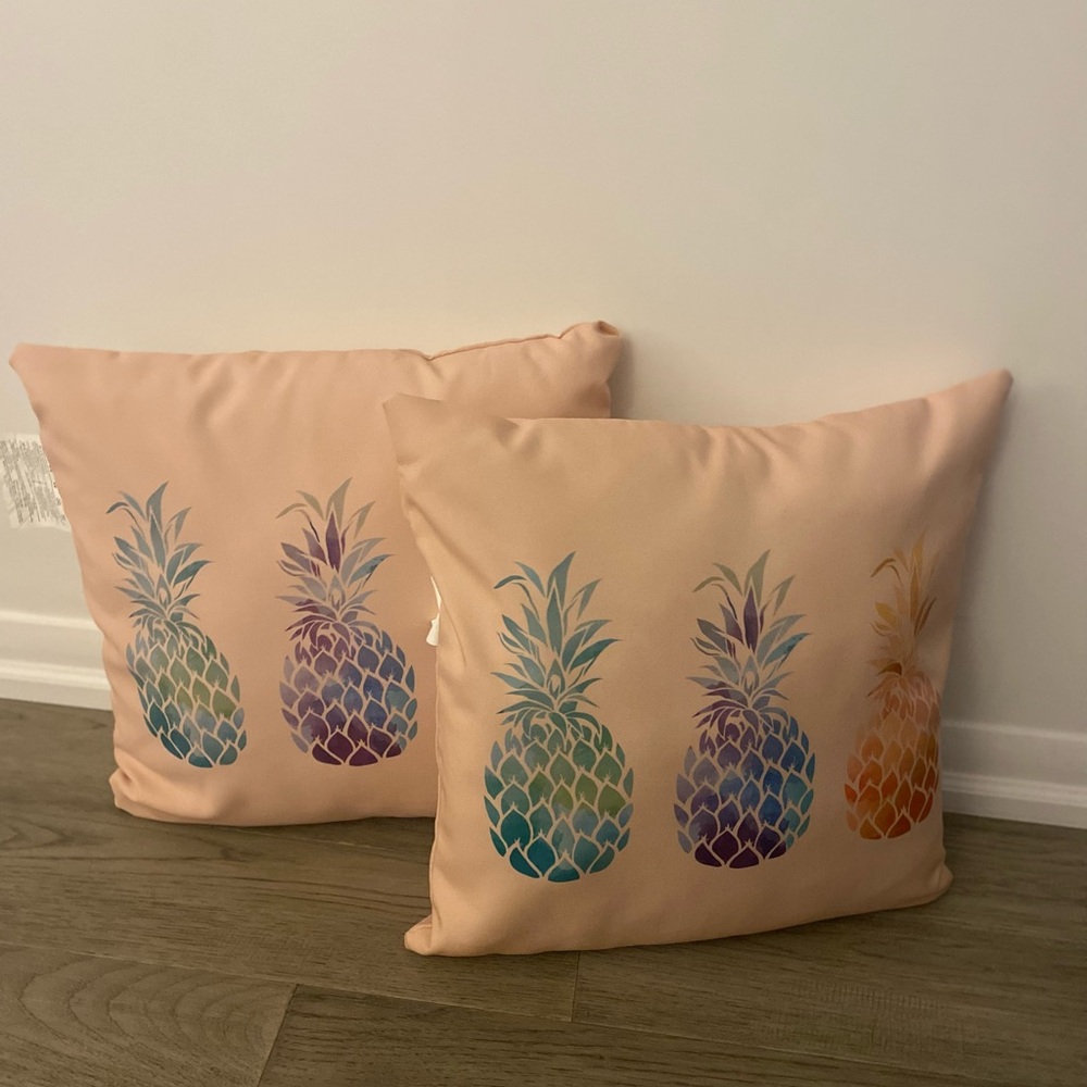 Patio Pillows - set of 2